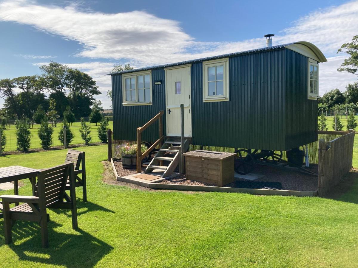 The Hawthorn Shepherds Hut Eyemouth Exteriör bild