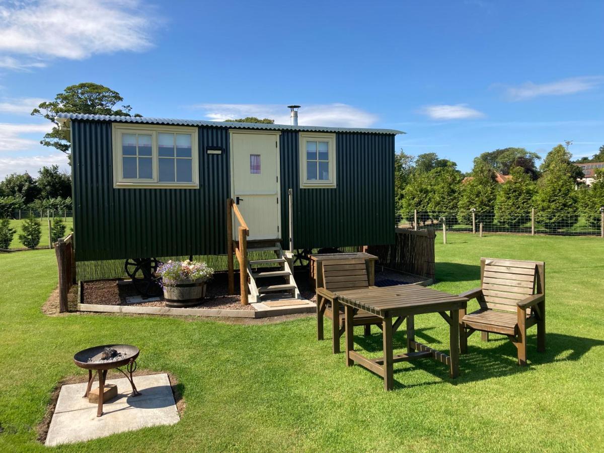 The Hawthorn Shepherds Hut Eyemouth Exteriör bild